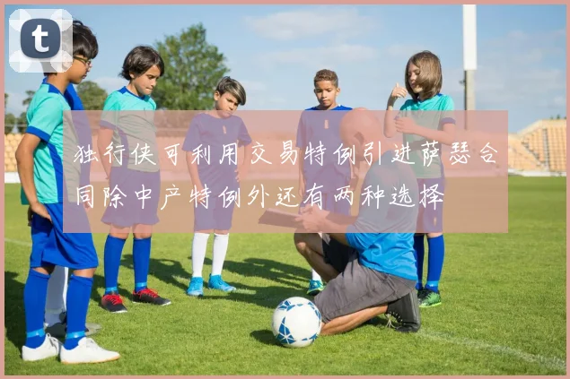 独行侠可利用交易特例引进萨瑟合同除中产特例外还有两种选择